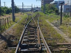 ̂񂳂̒qdCSւ̓eʐ^1