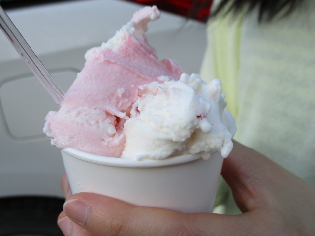 ́A䕃}[uƃt[c~bNX_|[m