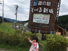 coco̓̉w Vւ̓eʐ^1