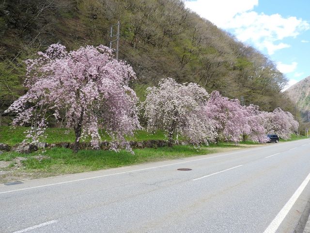 �������_�Ȕ�����