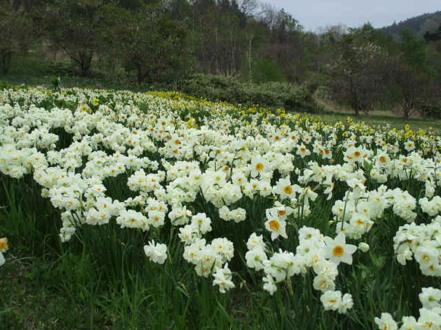 ��������͖��J_�ʐ����