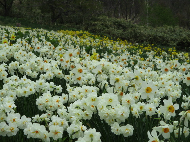 ���������Y��_�ʐ����