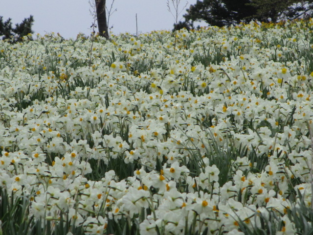 �т�����炢�Ă܂���_�ʐ����