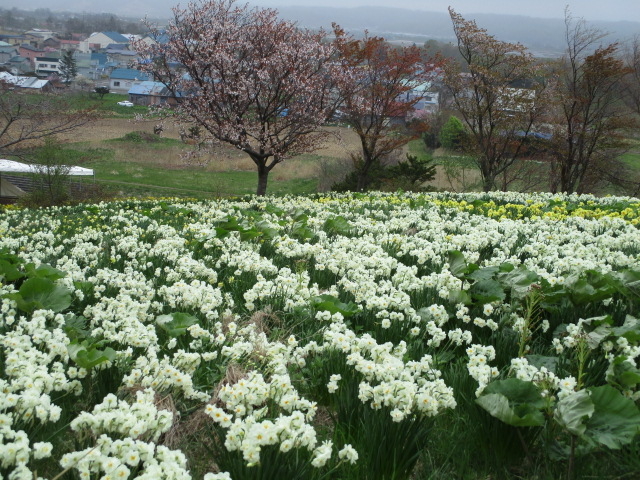 ���͎U�����Ⴂ�܂���_�ʐ����