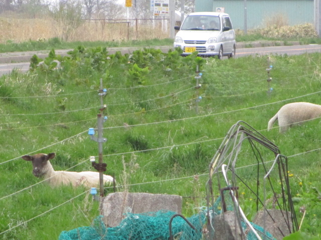 ŔiHj̗r_ЂՁiÖq꒼j