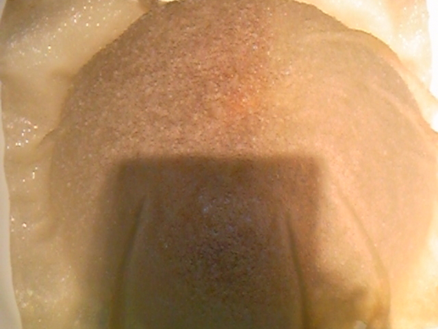 Ȃ߂炩_[OgX@[jO؍{X