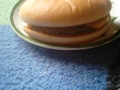 �����ނ���̃}�N�h�i���h�Ђ΂胖�u�X�ւ̓��e�ʐ^1