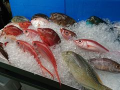 snowwhite����̑��q�u���ݎs��ւ̓��e�ʐ^1