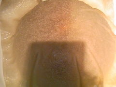 ���傭������̃��[�O���g���X�@���[�j���O�؍��{�X�ւ̓��e�ʐ^1