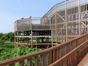 higekuma50̔]W]̓eʐ^1