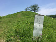 Ƃ񂷂̊≮Õ̓eʐ^6