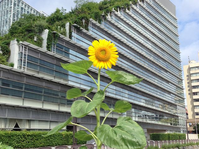 �A�N���X�����ƂЂ܂��_�A�N���X����