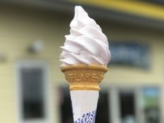 JOE̗ؖqꋍւ̓eʐ^1