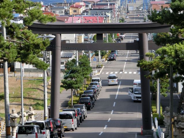 �����ɐF���ق���������_���ٔ����{