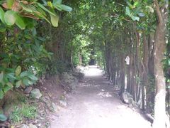 낳̔̃tNM؂ւ̓eʐ^1