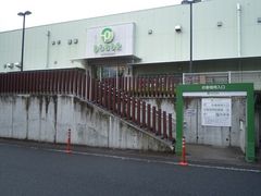 taroPasarOFiOFPAjւ̓eʐ^1