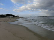 higekuma50̈ɎtlC̓eʐ^2