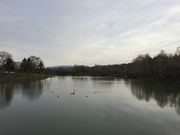 pv@̐XьтӂACh̓eʐ^1