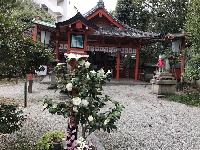 ɂ͂ԂAĂĒYA̎}~܂B_Yא_