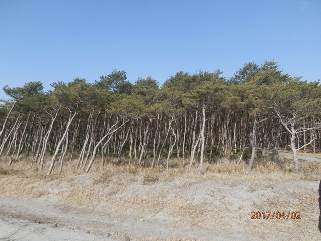 ����_���ɂ̏����V����