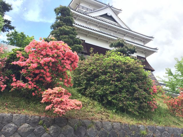 ��R��ł��B���̃A���O�����L���C�ł����B_��R�鋽�y������