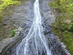 イワダイさんの柳の滝への投稿写真1