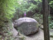 ͂邱̕{̐XmǁEقEނ낢EȂ邩EEʂÊ݂݁E͂Eق育nn̓eʐ^1