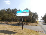 񂳂̔C݂̃[s̓eʐ^3