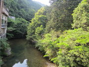 j`yťRisفj̓eʐ^4