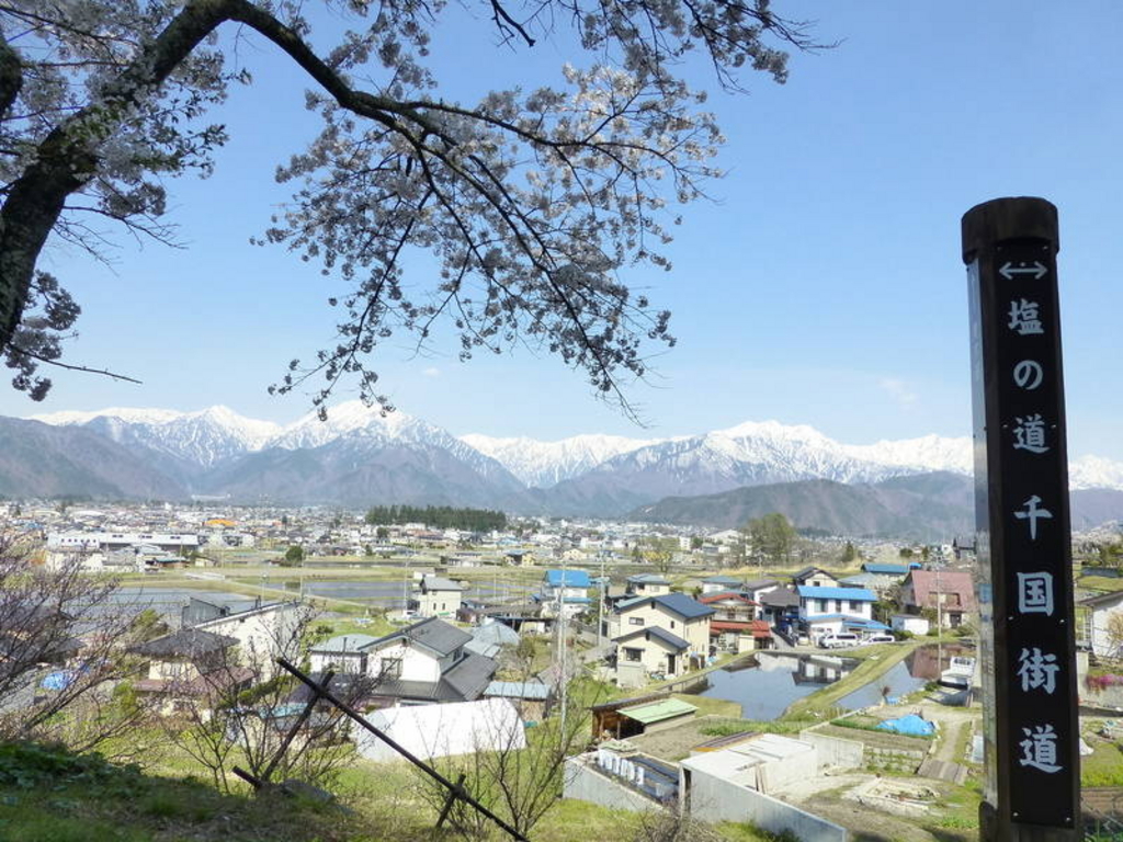 信濃常盤駅周辺の植物ランキングtop10 じゃらんnet