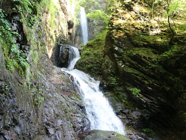 �����̑�_�����̑�