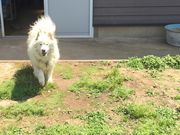 ݂邳̓H[܂ǂ̓eʐ^1