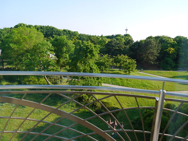 o[TCh]ː삩猩낷̗_Cl