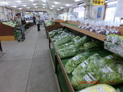 higekuma50̓̉w [ӂ[qEӂ̓eʐ^1