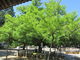 やまさんの誕生寺（岡山県久米南町）の投稿写真1