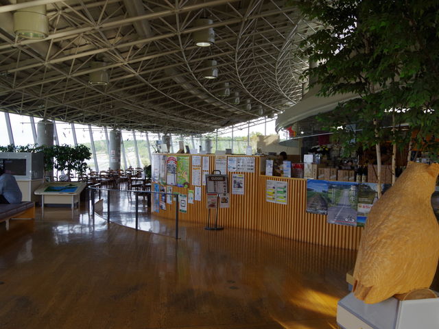 �Â������̓��̉w_���̉w �X�����S�S�˂ނ�