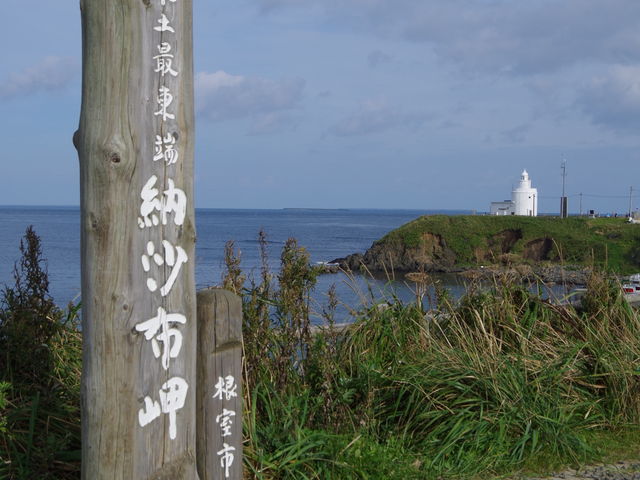 �[���z���̓����]�ށB_�[���z��