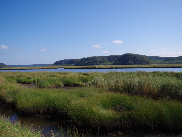 �܂��ɐ�i������Ă����܂��B_�ʊ��Ӌ�����