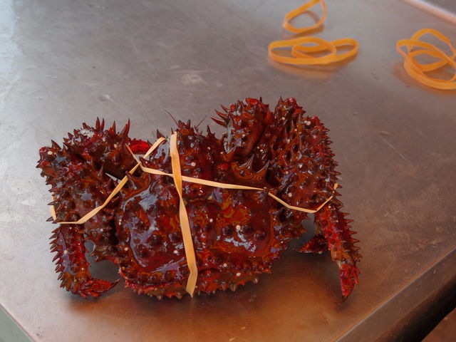 䥂łƐ^ԂɁB͒n邿ƑԂȂ́B_唪JjX