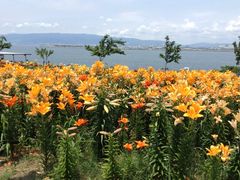 miitan̑܂܃V[TChp[Nւ̓eʐ^2