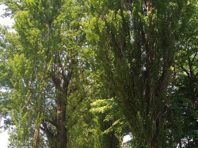 �w�̍����|�v������_�k��C�`���E����