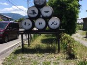 cocǒ܈킢@X̓eʐ^1