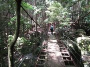 RoseFairy̕SԎRkJ̓eʐ^1