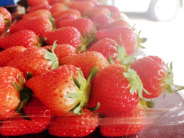 �I�ʒ��̂���������1_Farm U.S.A