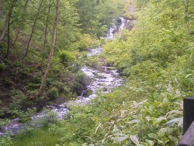 �R�P_�`���c�{�~�S�P����