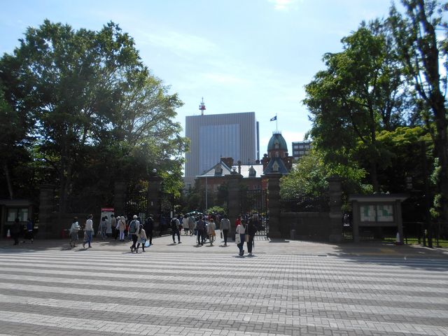 �A�J�v���ʂ肩��ς��Ԃ��_�k�C�������{����(�Ԃ�񂪒���)