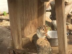 T28������̂������܎s�@�s���̐X�ւ̓��e�ʐ^2