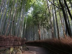 ȂȂ̒|т̓ւ̓eʐ^1