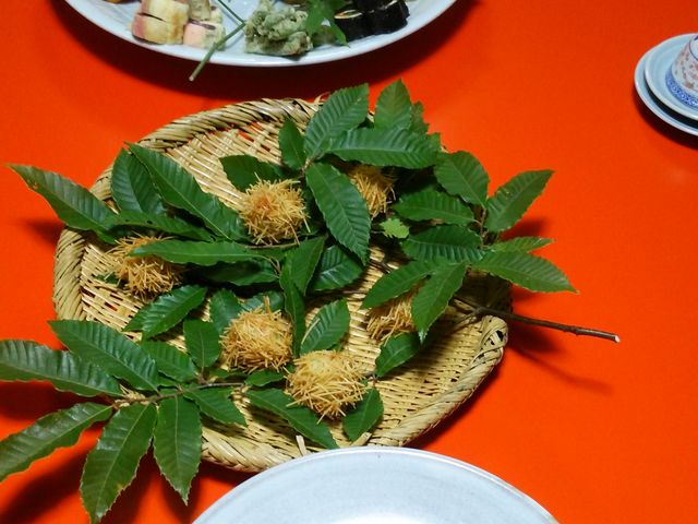 ݂́iю́jӂᗿ̓eʐ^1