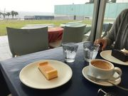 炳炳񂲂̉{pق̓eʐ^1